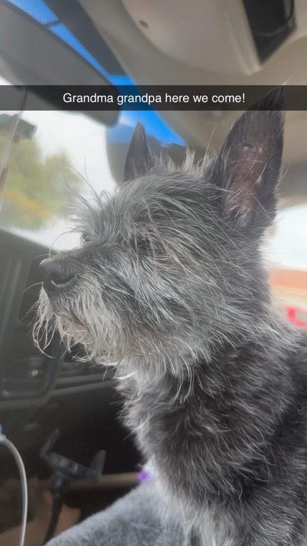 Baby riding in the car on the way to see his grandparents