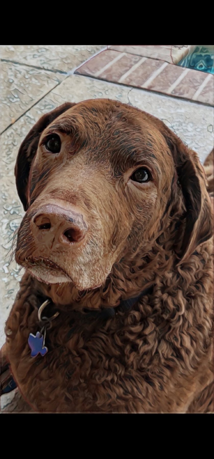 Close portrait of Jake, shared by Dianna